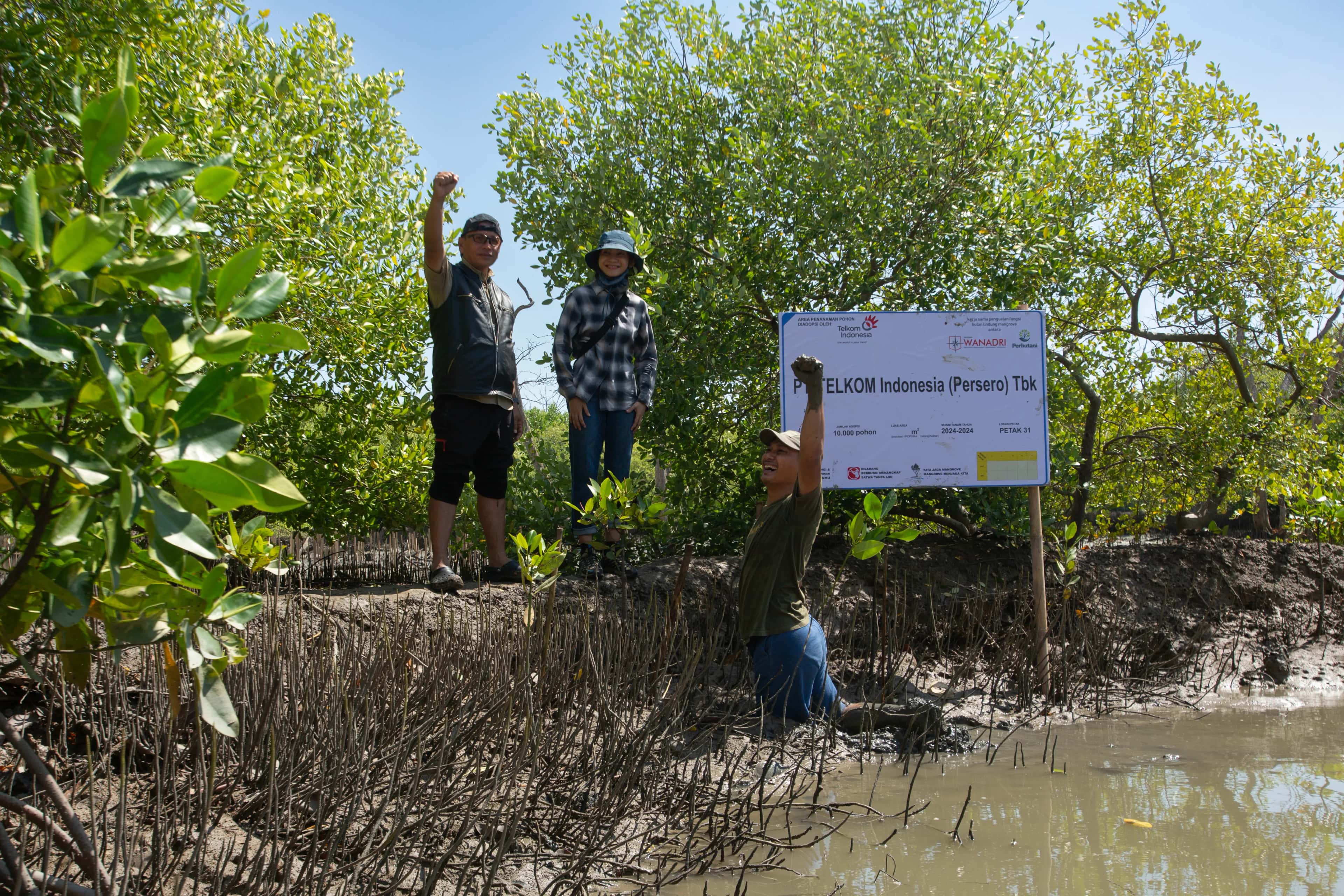 Penanaman Mangrove Bersama VENAMBAK