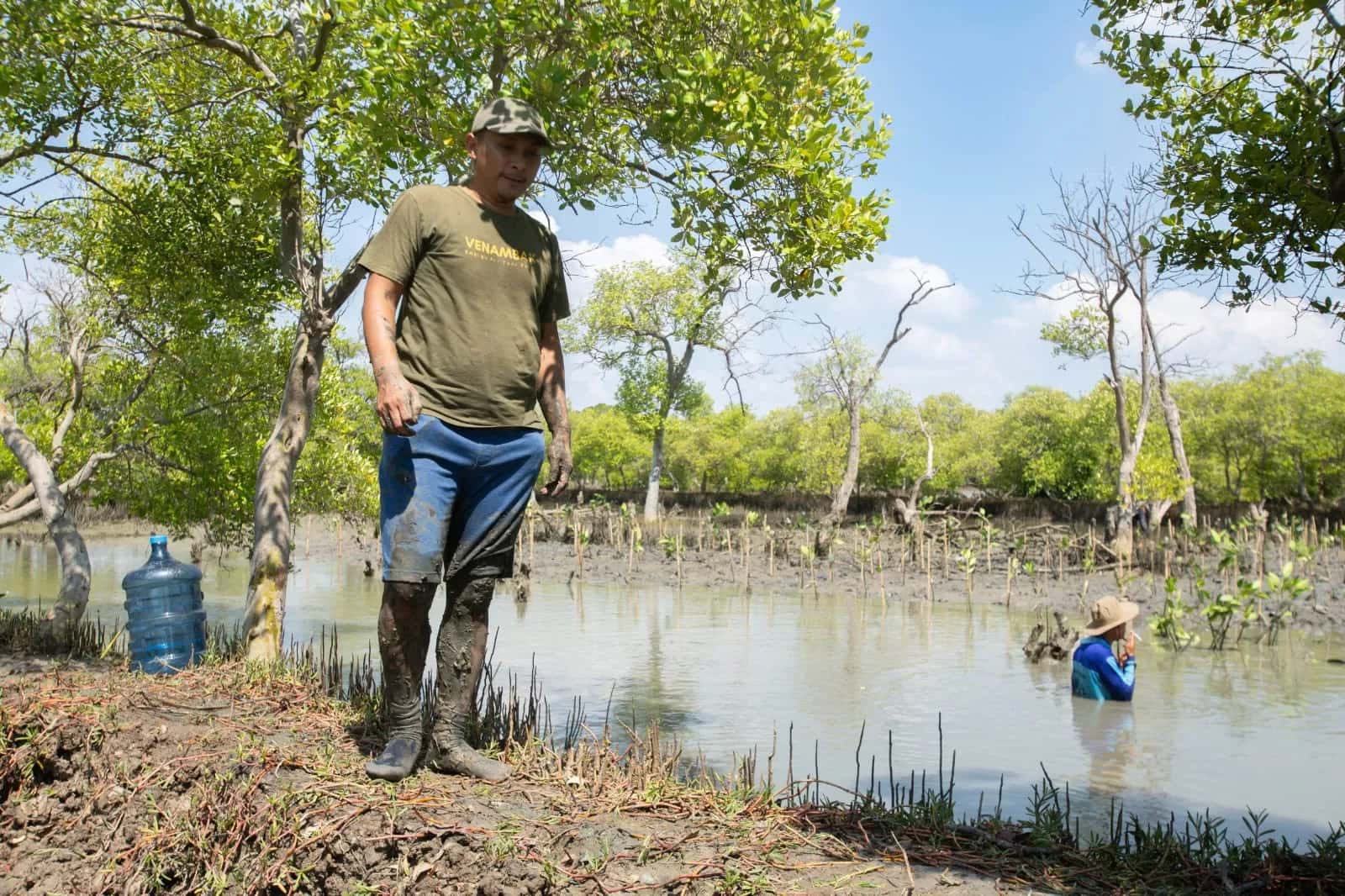 Penanaman Mangrove Bersama VENAMBAK