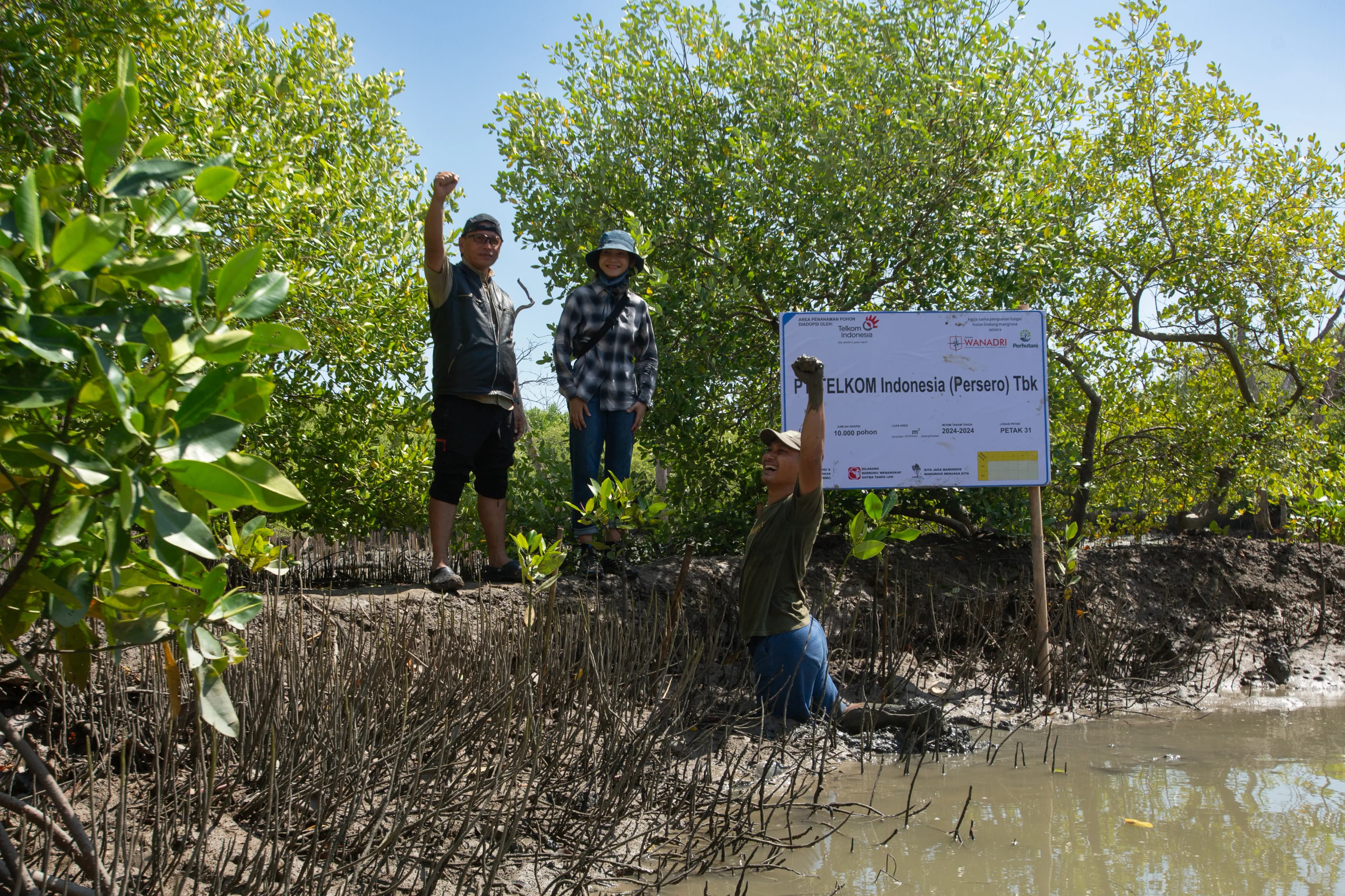 Penanaman Mangrove Bersama VENAMBAK