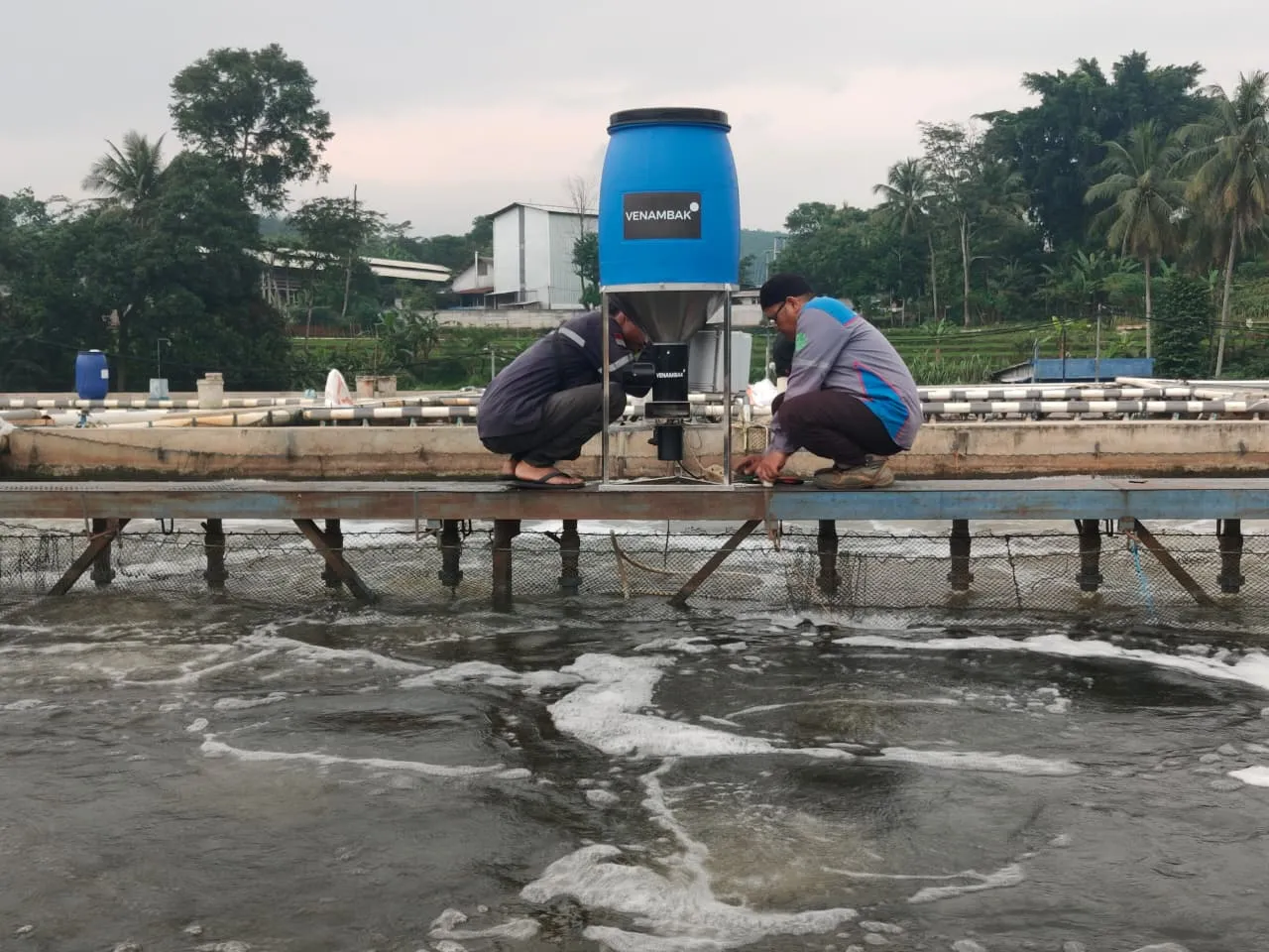 Penerapan Feederve di PT. IBIS