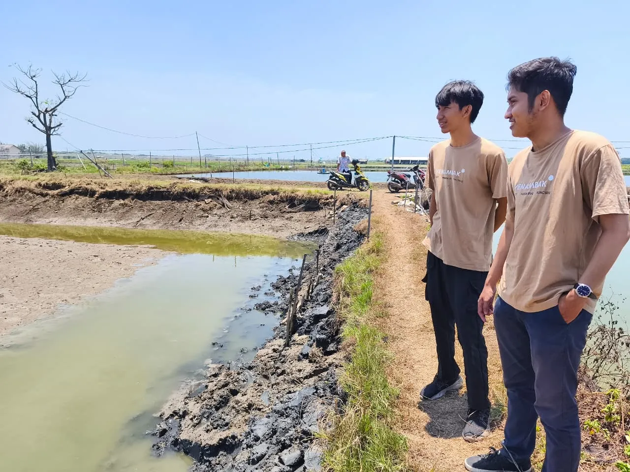 Implementasi Agresults di Tambak Pati