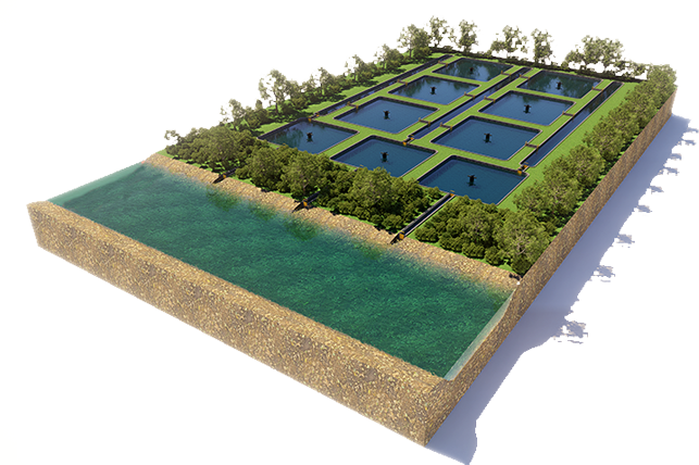 Silvofishery VENAMBAK